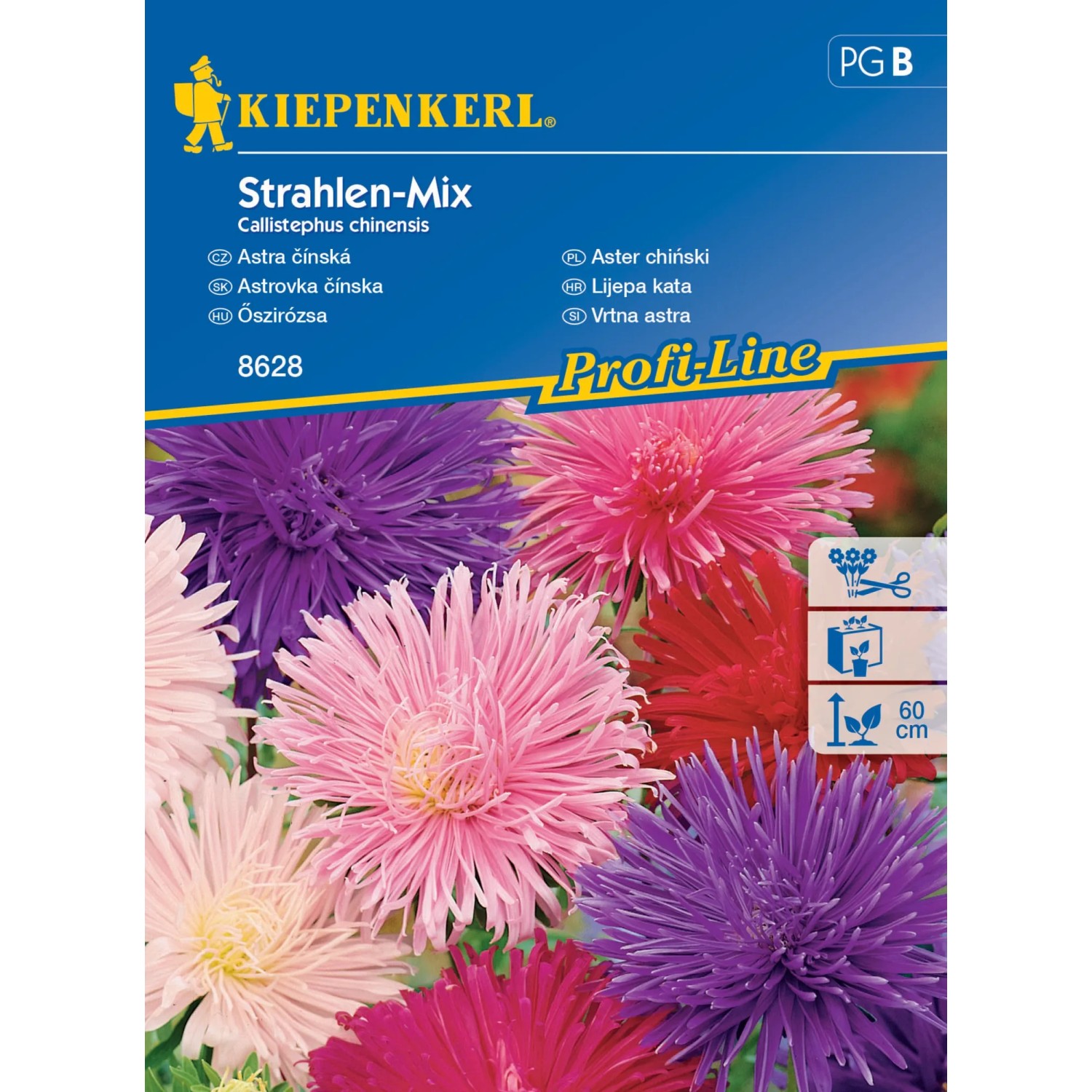 Kiepenkerl Semínka Astra čínská Strahlen mix