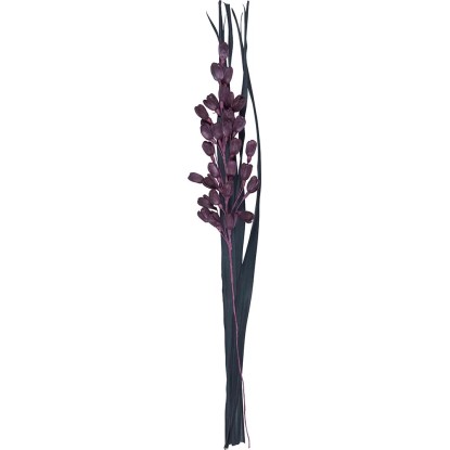Sušená kytice Lilie Midnight Mystery purpurově černá, 95 cm