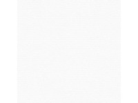 A. S. Creation Přetíratelná vliesová tapeta Meistervlies Creativ bílá 961310 A. S. Creation Přetíratelná vliesová tapeta Meistervlies Creativ bílá 961310