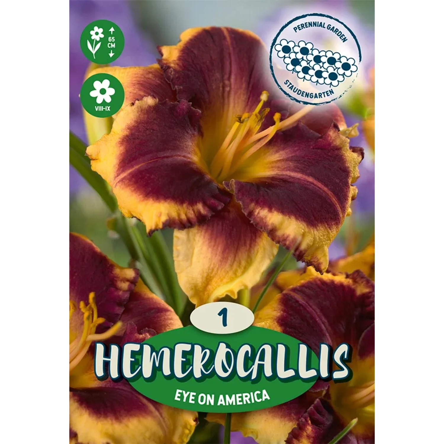 Denivka Eye on America žlutá s hnědým středem