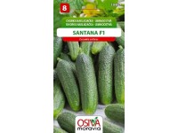 Semínka Okurka nakládačka jemnoostná Santana F1 (Cucumis sativus)