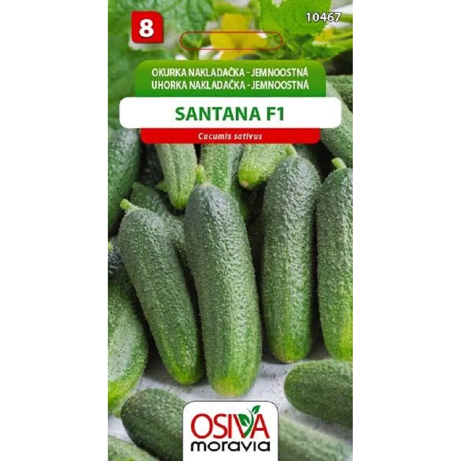 Semínka Okurka nakládačka jemnoostná Santana F1 (Cucumis sativus)
