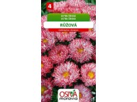 Semínka Astra Čínská - Montezuma, růžová (Callistephus chinensis)