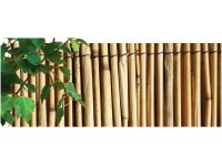 NOHEL GARDEN Rákosová rohož 1 x 5 m