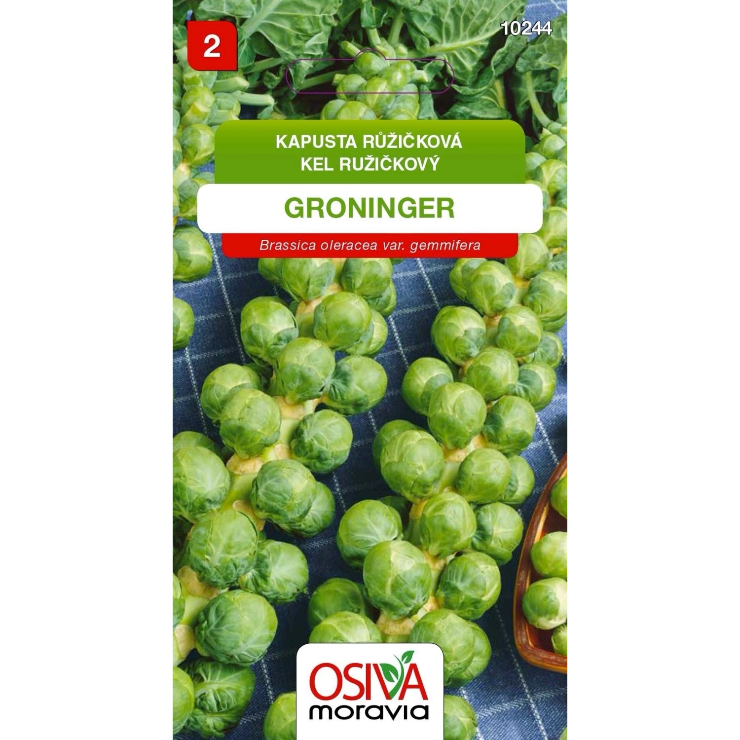 Semínka Kapusta růžičková Groninger (Brassica oleracea var. gemmifera)