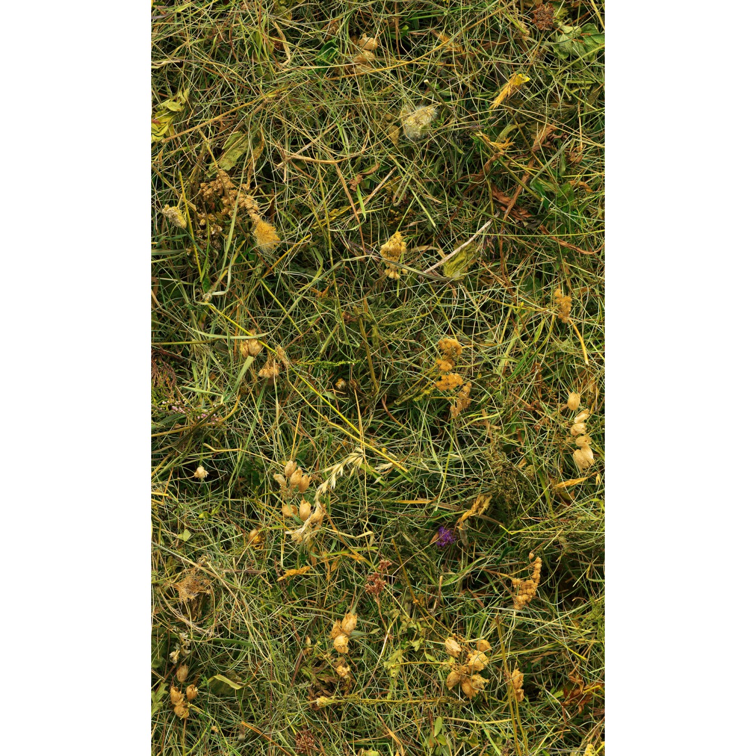 Komar Vliesová fototapeta Bergheu 150 x 250 cm