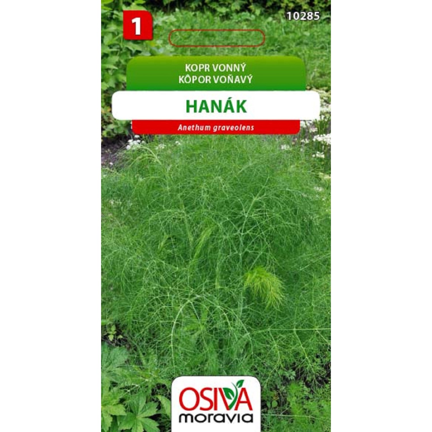 Osiva Moravia Kopr vonný Hanák