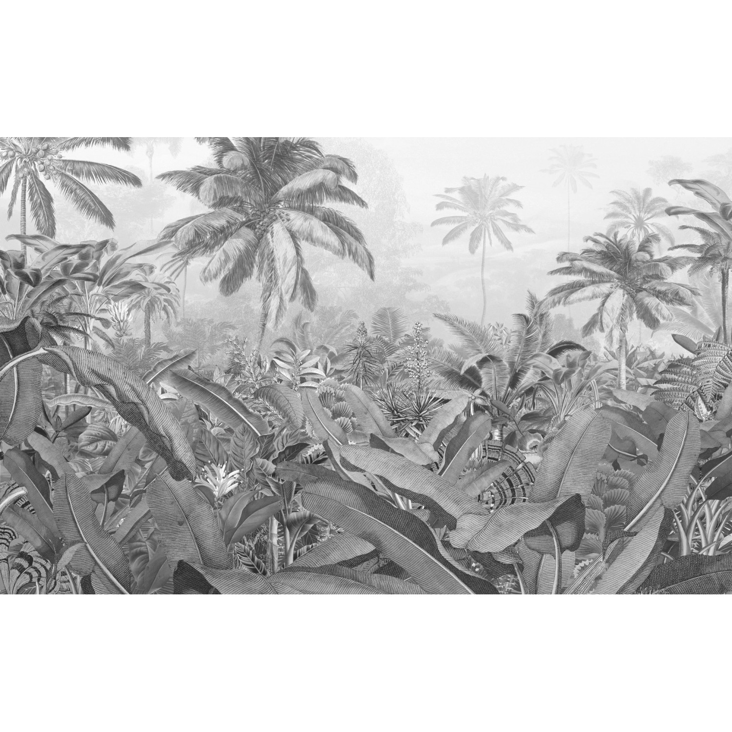 Komar Vliesová fototapeta Amazonia Black and White 400 x 250 cm