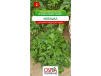 Semínka Petržel naťová hladká Natalka (Petroselinum crispum convar. vulgare) Semínka Petržel naťová hladká Natalka (Petroselinum crispum convar. vulgare)