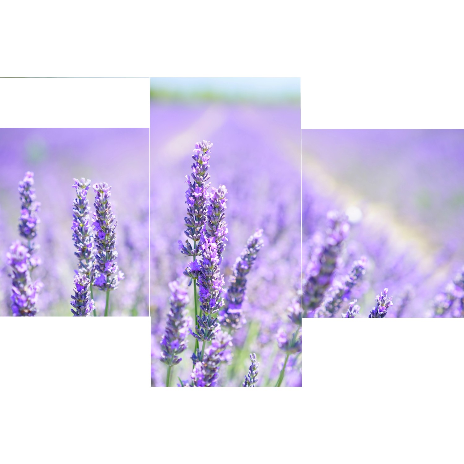 Bondecor 3dílná sada obrazů Trendy 30 x 42 cm