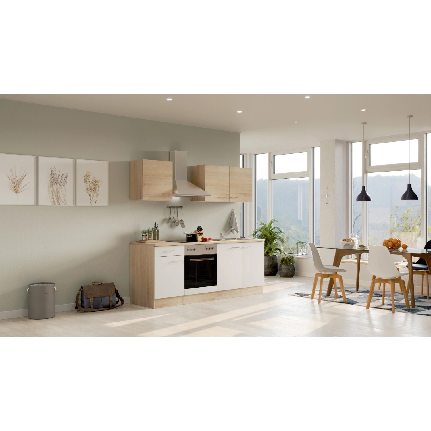 Flex-Well Kuchyně Florida 210 cm/typ 12 - trouba/varná deska/digestoř