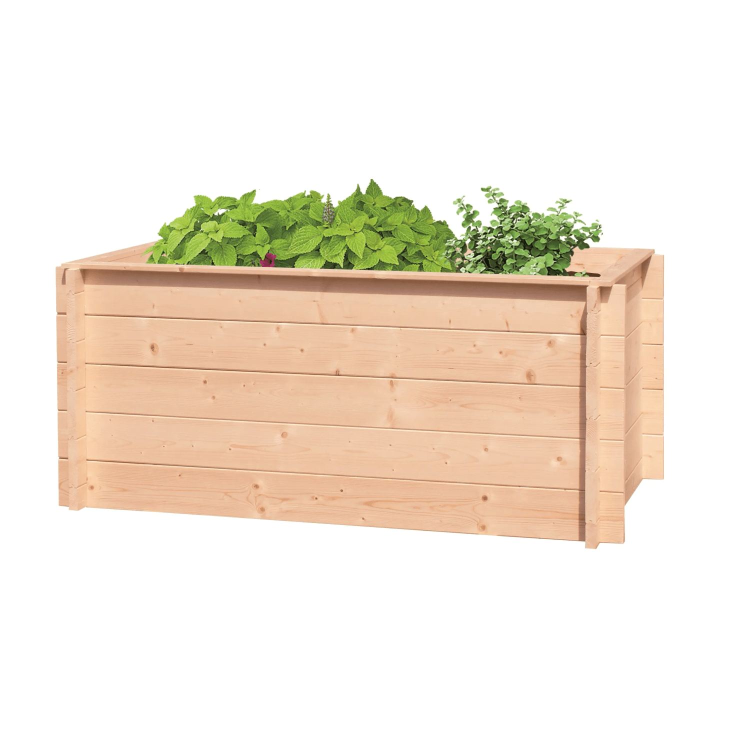Maone D ev n Vyv en Z hon Peter 9 Tl 28 Mm 150 X 70 X 56 Cm maone-d-ev-n-vyv-en-z-hon-peter-9-tl-28-mm-150-x-70-x-56-cm