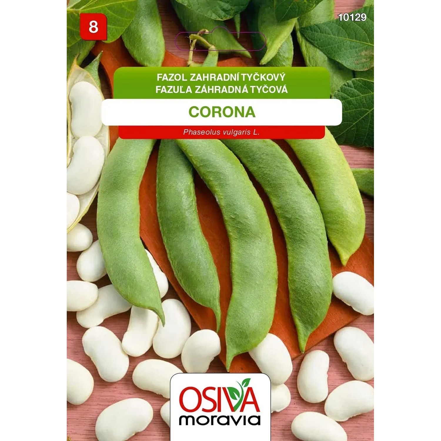 Semínka Fazol zahradní tyčkový Corona (Phaseolus vulgaris L.)