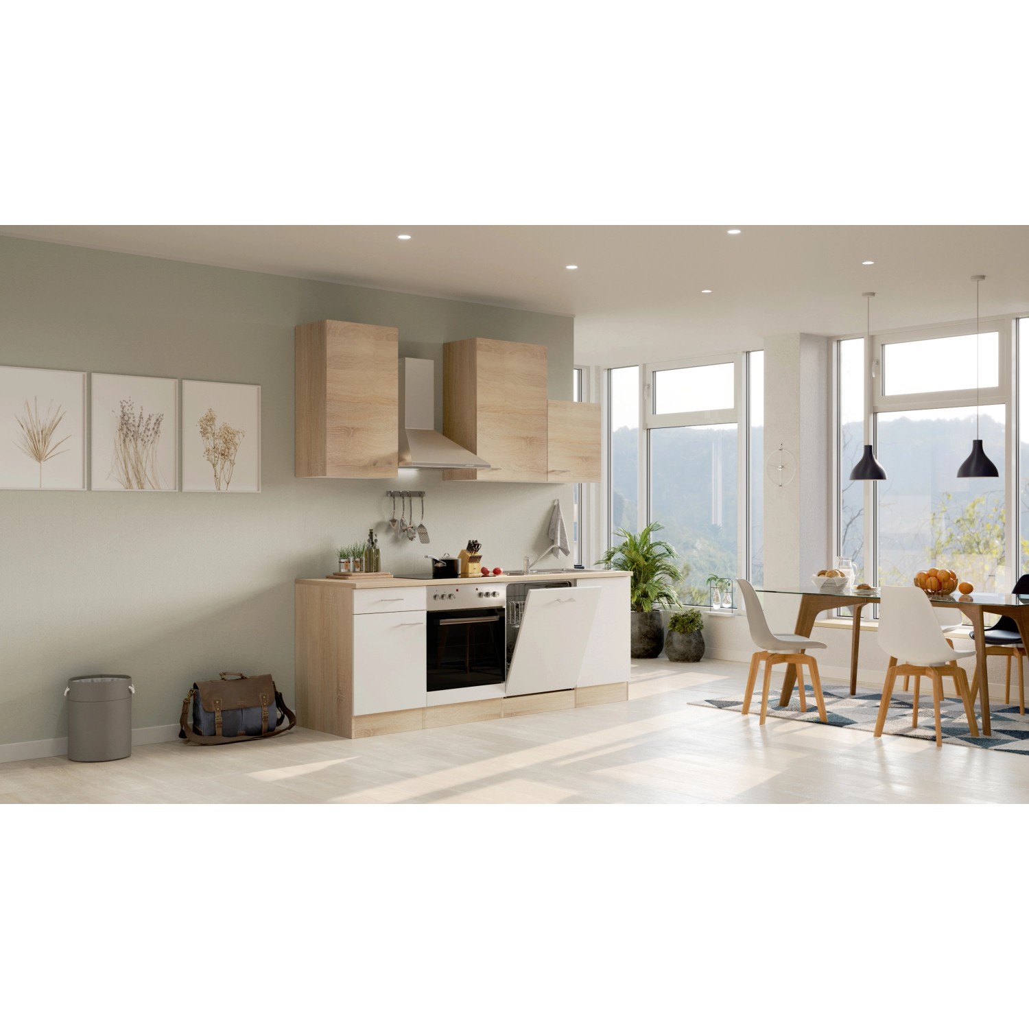 Flex-Well Kuchyně Florida 220 cm/typ 9 - trouba/varná deska/myčka/digestoř