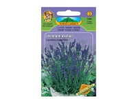 NOHEL GARDEN Levandule lékařská NOHEL GARDEN Levandule lékařská