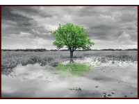 Bondecor Obraz Putframe Free 70 x 100 cm