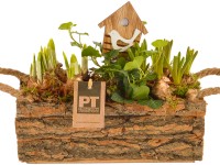 Aranžmá s různými květinami kvetoucími na jaře v dřevěném truhlíku průměr květin