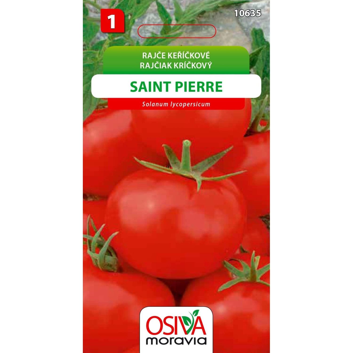 Rajče Keříčkové - Saint Pierre (Solanum lycopersicum)